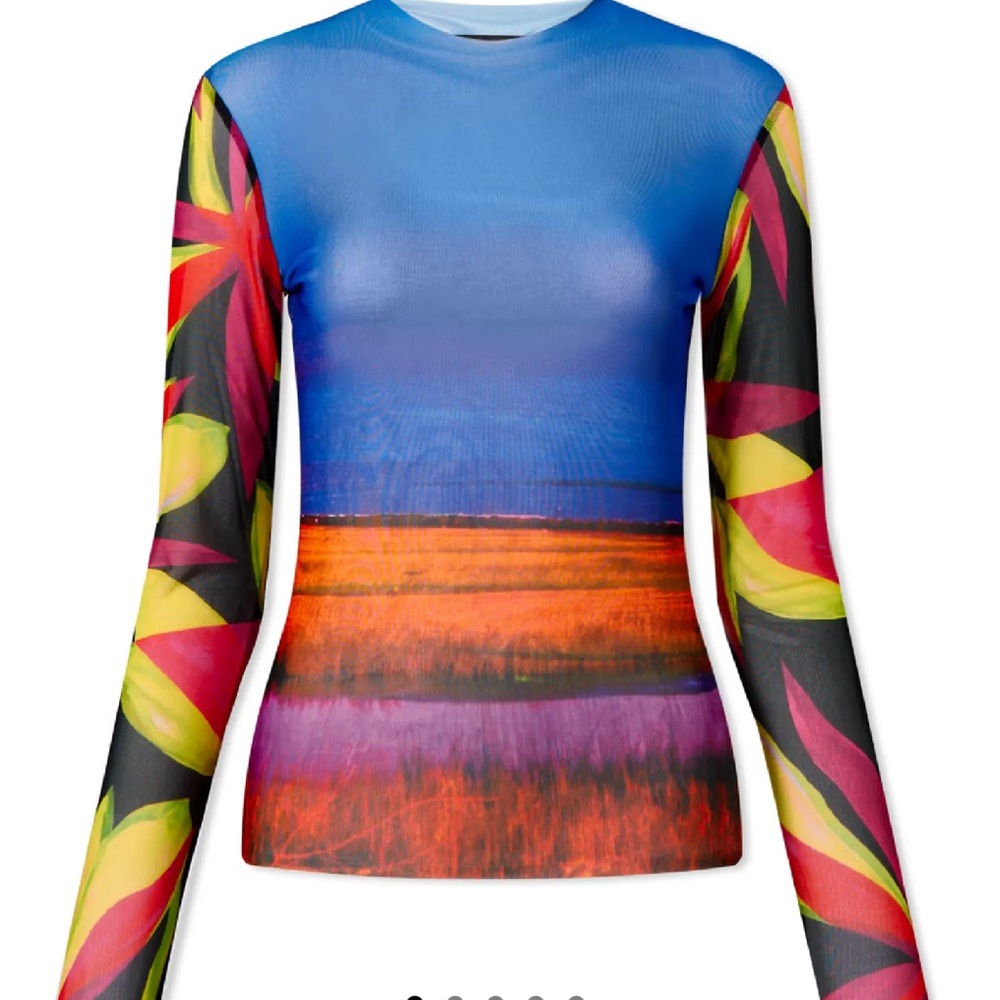 NWT. LOUISA BALLOU LONG SLEEVE MESH TOP. Size XS.
